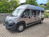 Globecar Globescout R Plus Heavy  - Globecar Globescout