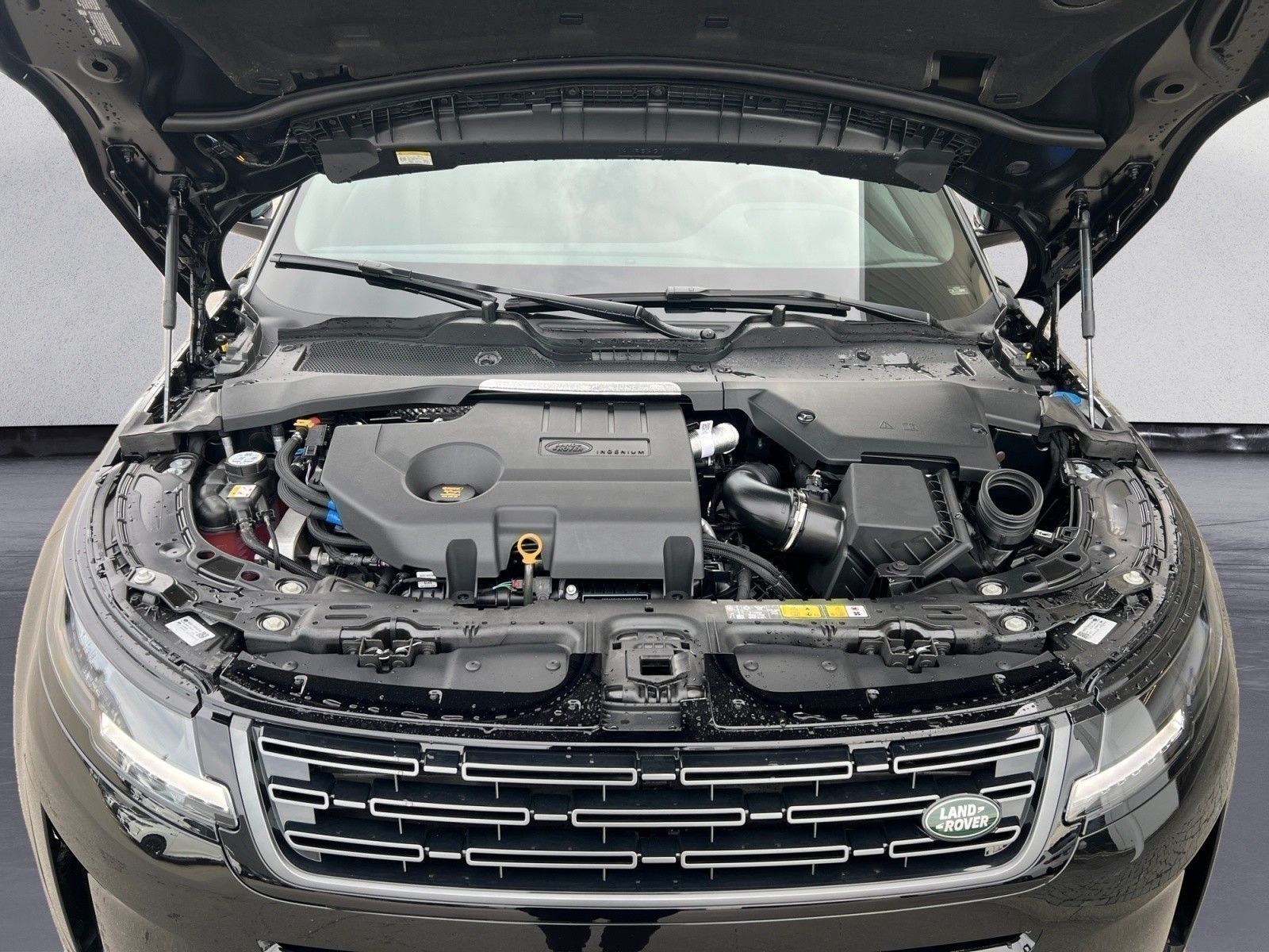Land Rover Range Rover Evoque - Bild 10