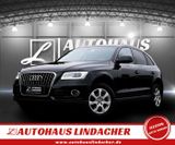 Audi Q5 2.0 TFSI quattro | Navi | Teilleder | AHK - Audi Q5 mit Benzin-Antrieb: 2.0