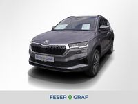 Skoda Karoq - Vorschau Bild 1