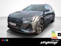 Audi e-tron - Vorschau Bild 1
