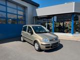 Fiat Panda 1.2 8V Dynamic - Fiat Panda aus 2010: Allradantrieb
