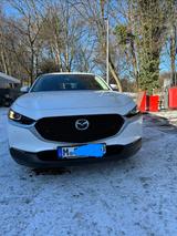 Mazda TÜV 2.2028! Garantie bis 7.2026. Aus 1.Hand - Mazda CX-30 von privat