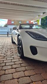 Jaguar F-Type Cabrio P300 Convertible, Top-Zust. - Jaguar F-Type mit Benzin-Antrieb: Cabrio