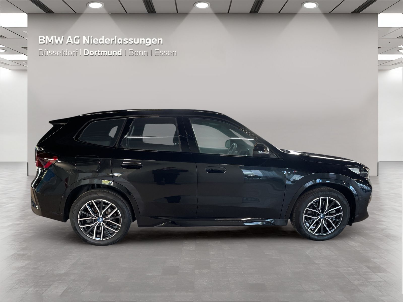 BMW X1 xDrive30e M Sport AHK Driv.Assist.Prof LED foto 8