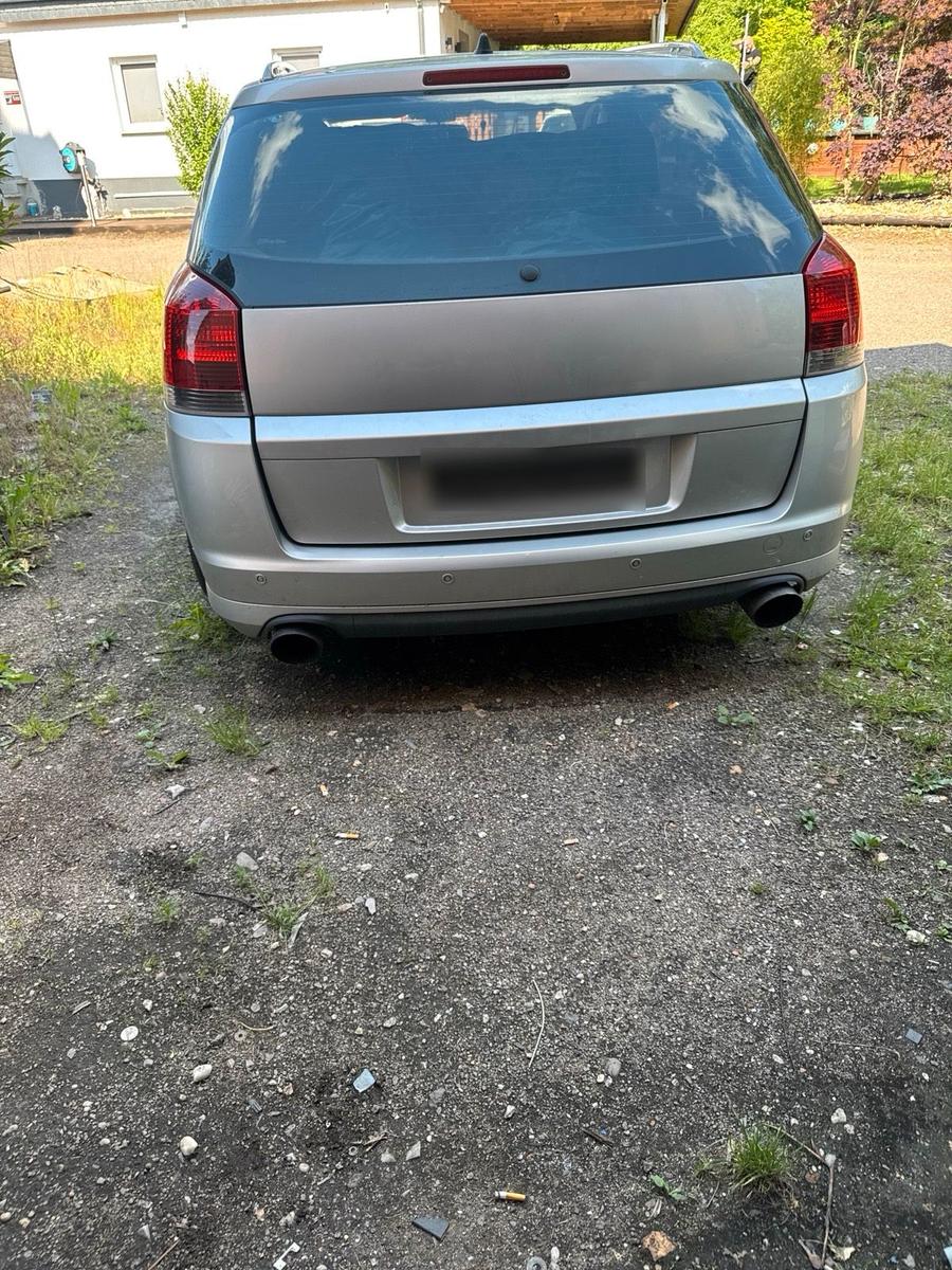 Opel Signum 2006 — rear view