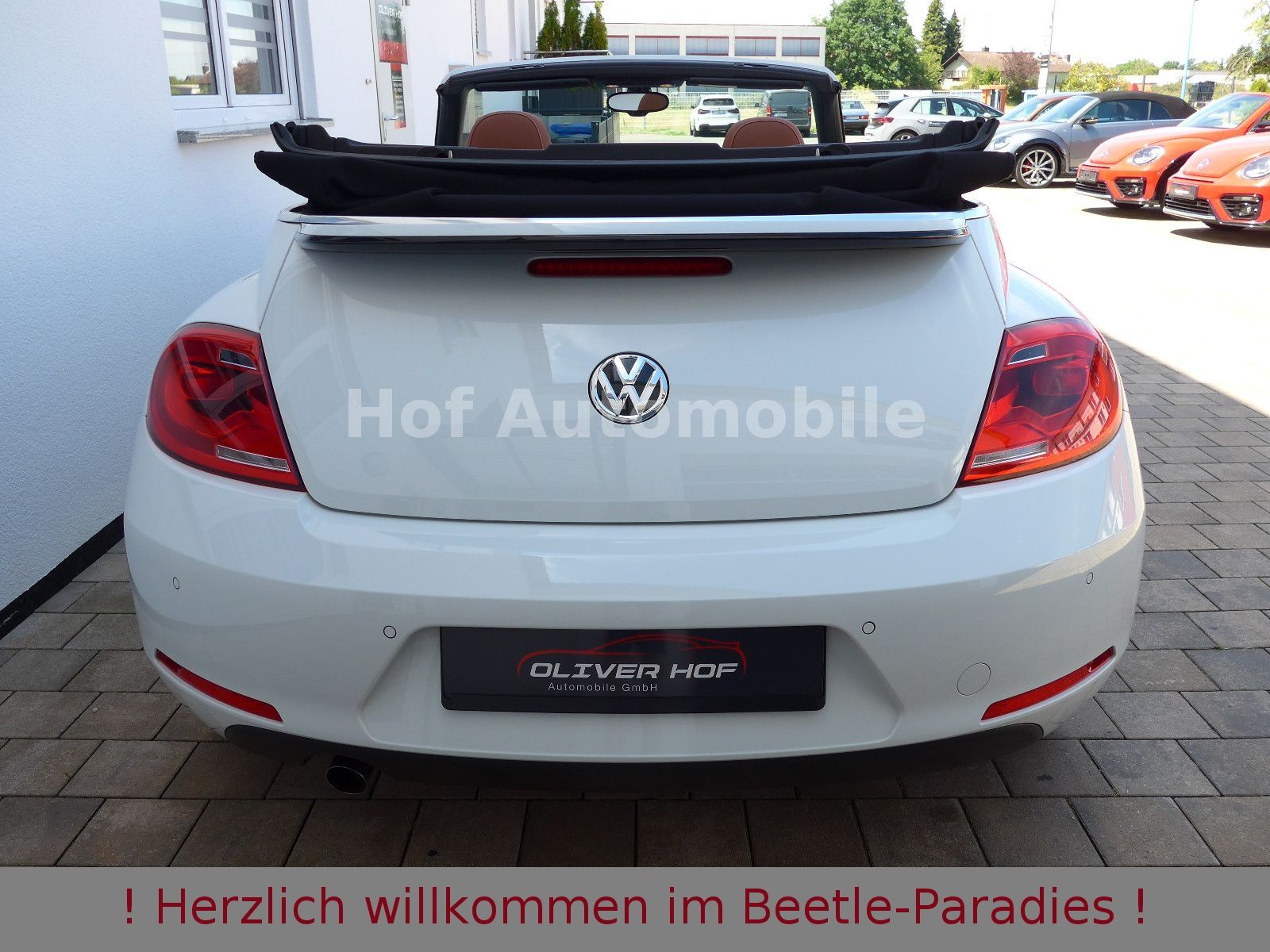 Volkswagen Beetle 1.2TSI DSG Cup SHZ Klimaaut. Allwetter foto 22