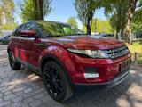 Land Rover Range Rover Evoque Pure//*PANORAMA*//*NAVI* - gebrauchte Land Rover Range Rover Evoque aus dem Jahr 2013