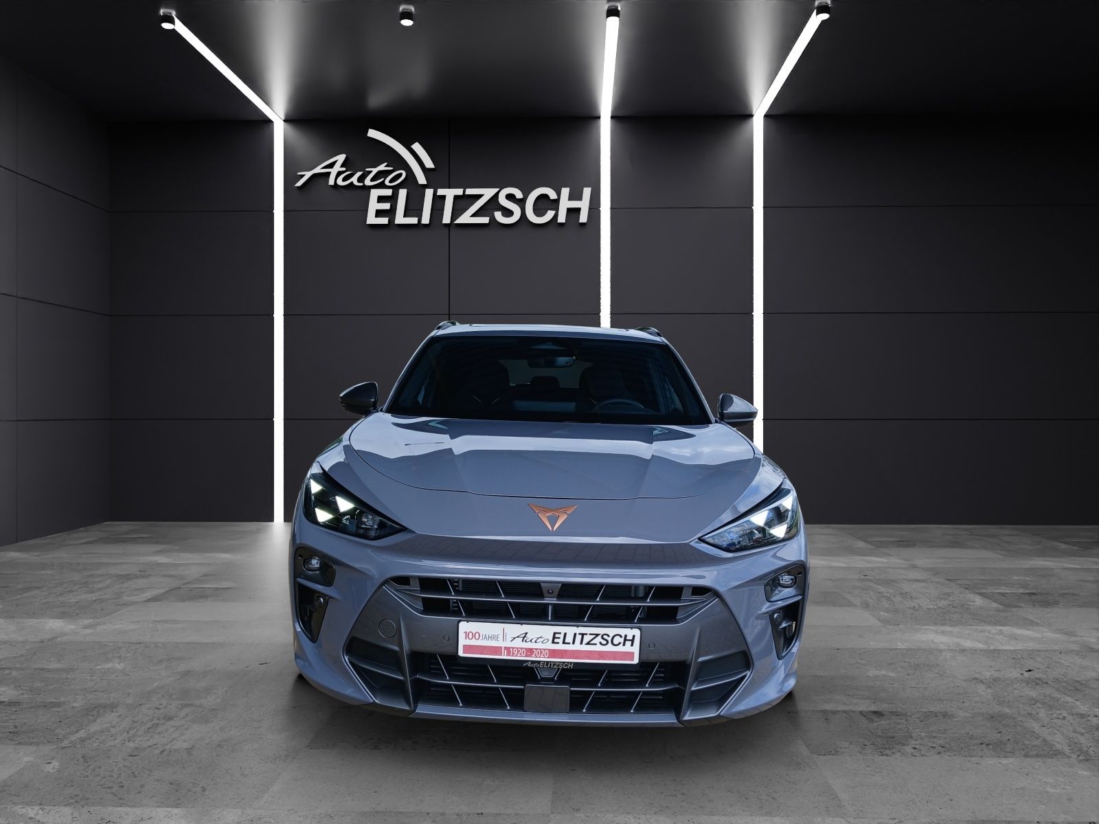 Fahrzeugabbildung CUPRA Terramar VZ 2.0TSI 4Drive Matrix Pano Akebono HU