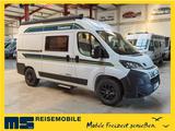 Chausson V594S FIRST LINE  / MODELL 2026 / NUR 5.41M. - Chausson Neu