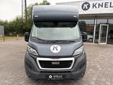 Peugeot Boxer MSG Pferdetransporter Stablehopper Klima - Peugeot Doppelkabine