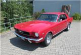 Ford Restaurierter Mustang Bj. 1966 mit H-Kennz.