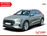 Audi e-tron 50 quattro S line LED Navi Head-Up Kamera