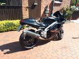Triumph Daytona T595 - TRIUMPH DAYTONA T595