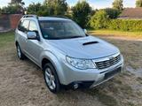 Subaru Forester Premium - Subaru Forester in Wuppertal
