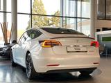 Tesla Model 3 AWD Performance Dual Motor Pano ACC 20" - Tesla Model 3: Dual Motor