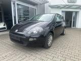 Fiat Punto My Life 1.2 TÜV-NEU - Fiat Punto Gebrauchtwagen in Stuttgart