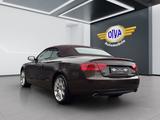 Audi A5 Cabriolet 3.0 TDI 1.Hand - Audi A5 mit Diesel-Antrieb: 3.0