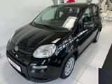 Fiat Panda Hybrid 1,0 GSE - Fiat Panda in Bonn