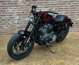 Harley-Davidson XL1200CX Roadster  - Offers