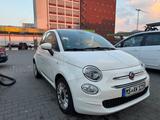 Fiat 500 1.2 8V LOUNGE LOUNGE - Fiat 500 Gebrauchtwagen in Braunschweig