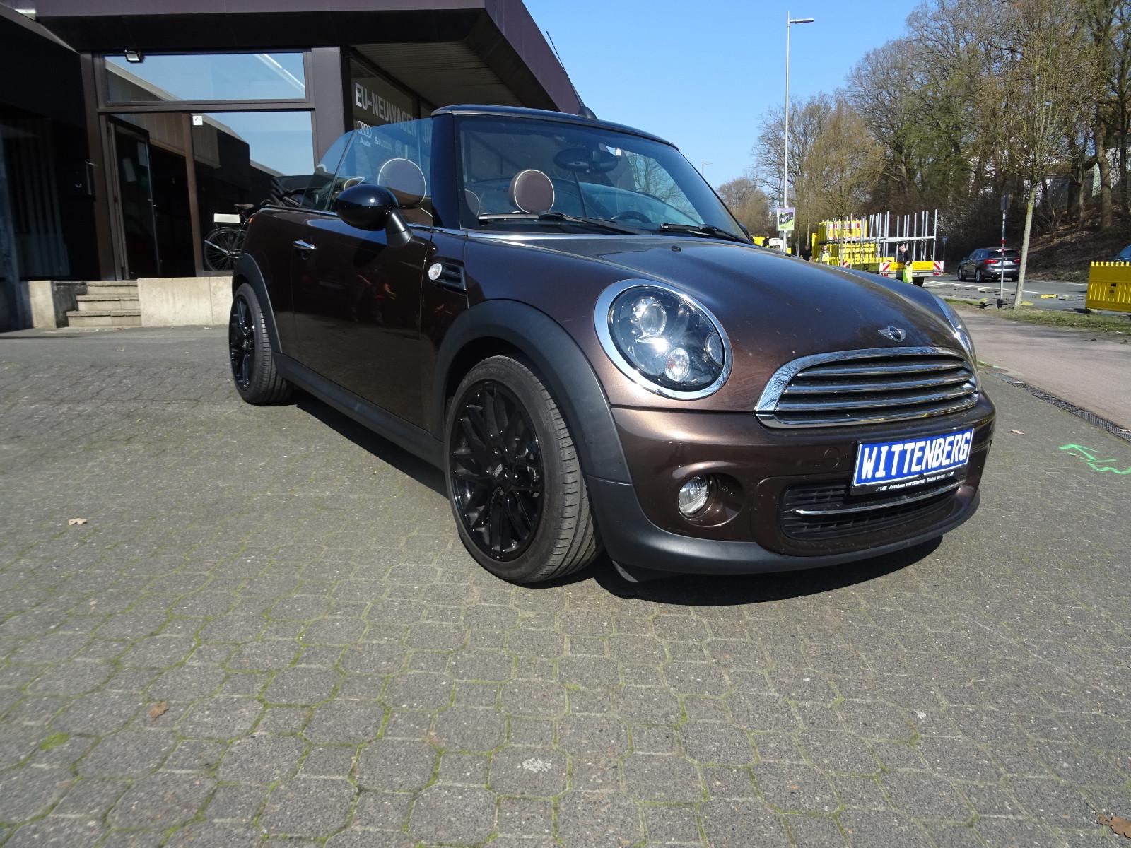 MINI Cooper Cabrio LEDER BRAUN