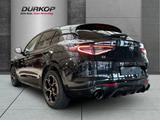 Alfa Romeo Stelvio Intensa 2.0T Q4 El. Panodach HarmanKardo - Alfa Romeo Stelvio mit Schiebedach