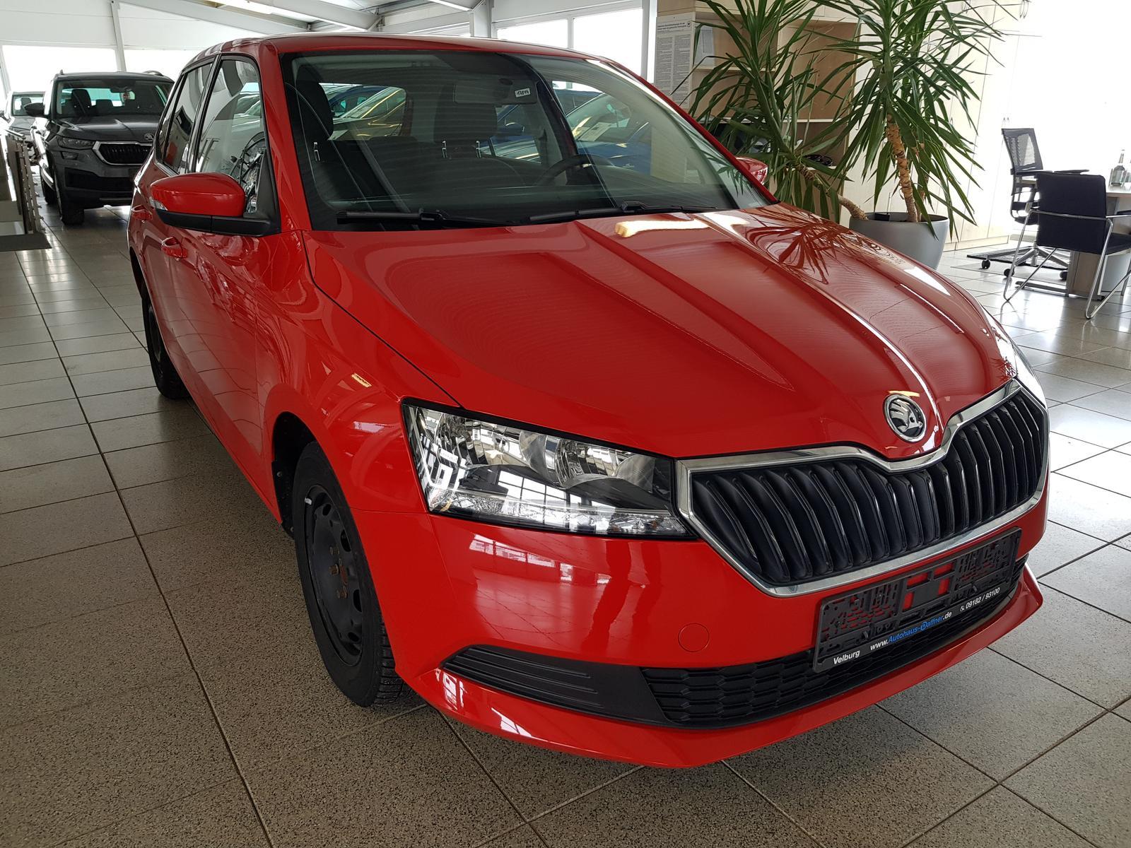 Skoda Fabia 5tg.TSI Klima ZV 8-fach-bereift