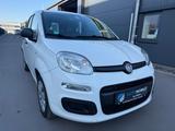 Fiat Panda Pop 1.2*ALLWETTERREIFEN*ISOFIX - Fiat Panda: I