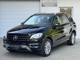 Mercedes-Benz ML 250 CDI BlueTec 4Matic EU6/AHK/VollLeder/Bi-X - Mercedes-Benz ML 250 Gebrauchtwagen