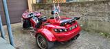 Rewaco RF1 - TRIKE