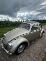 Volkswagen VW Käfer 1200 Faltdach Winker E... - Volkswagen LT mit Benzin-Antrieb