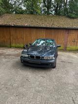 BMW E39 525d Limousine Automatik  gepfleg... - BMW 525 aus 2003: 525d