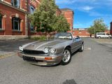 Jaguar XJS 4.0 Convertible 2+2 Memorysitze Arden - Jaguar: Arden