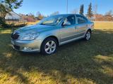 Skoda Octavia 1.4 TSI Family  - Skoda Octavia: Grün