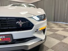 Fahrzeugabbildung Ford Mustang GT V8 5.0l, Premium California Special