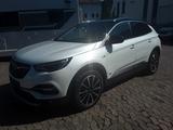 Opel Grandland (X) - mit Hybrid-Antrieb: Alcantara, Sitzbelüftung