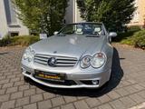 Mercedes-Benz SL 55 AMG Performance/Pano/Designo/Unfallfrei/ - gebrauchte Mercedes-Benz SL 55 AMG aus dem Jahr 2002