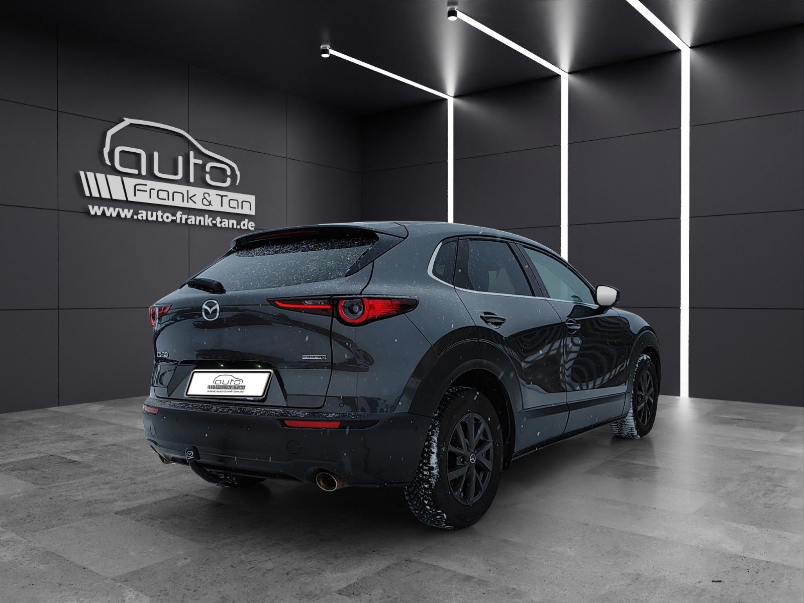 Fahrzeugabbildung Mazda CX-30Matrix*Bose*360°Cam*CarPlay*Head-Up*