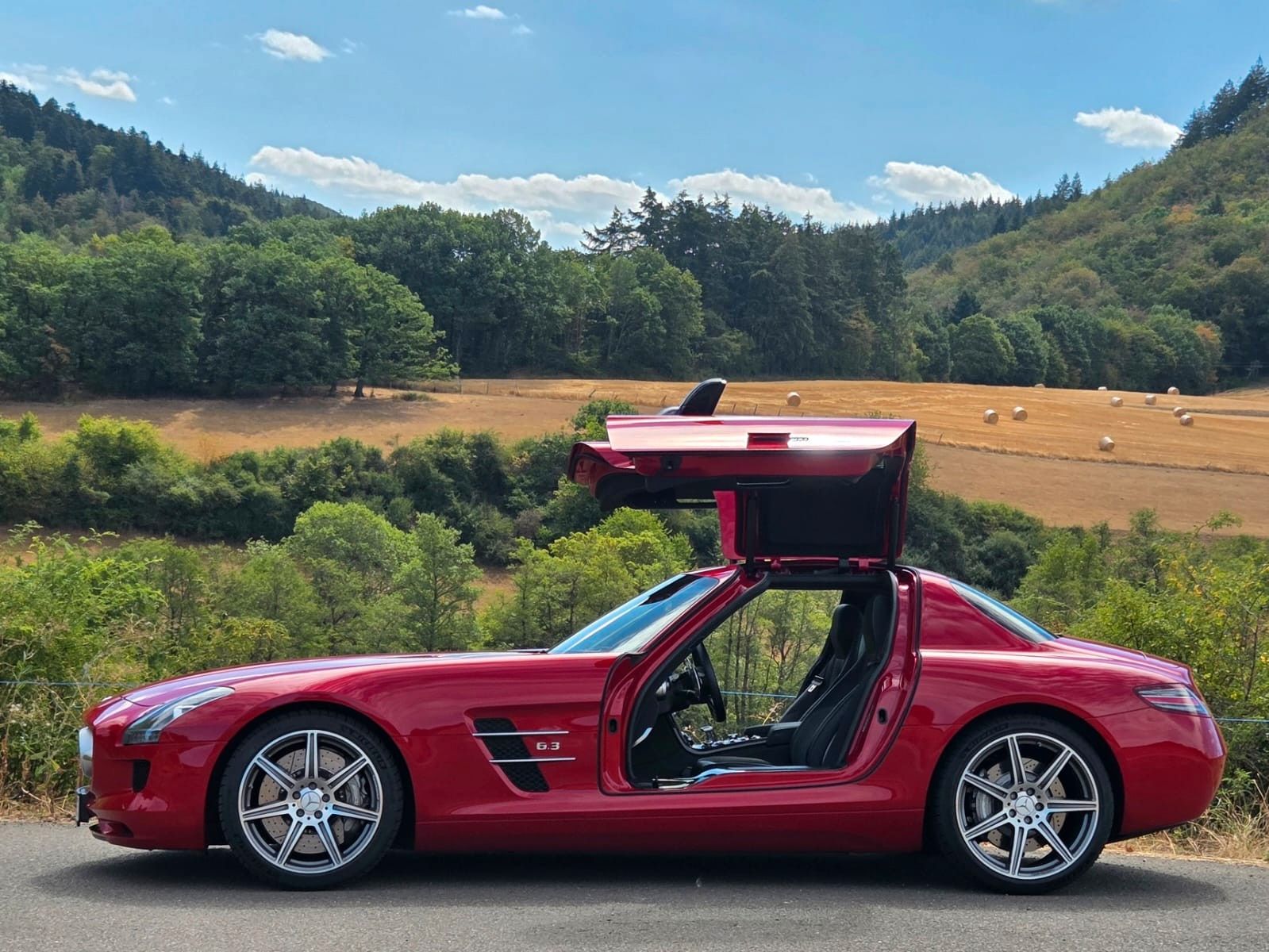 Fahrzeugabbildung Mercedes-Benz SLS AMG/BRD/Fast wie neu/Full Carbon/1A Historie
