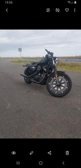 Harley-Davidson Sportster Iron 883 - Offers matching your search criteria