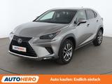Lexus NX-Serie NX 300h E-Four Executive Line Aut.*NAVI - Lexus NX-Serie in Köln