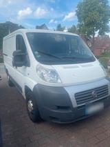 Fiat Ducato Transporter - Fiat Ducato Transporter Gebrauchtwagen