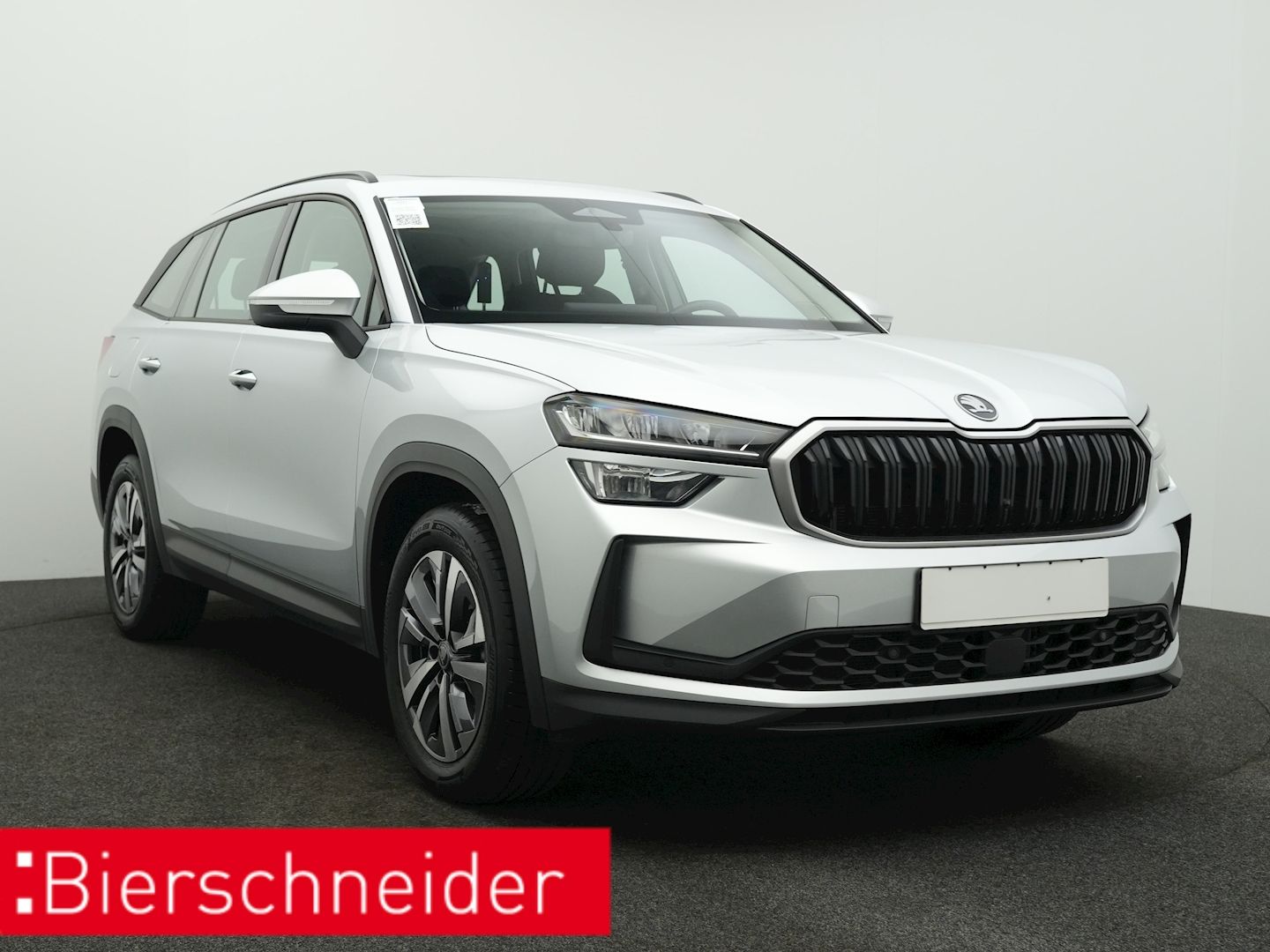 Skoda Kodiaq - Bild 9