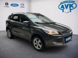 Ford Kuga Sync Edition Autom. mit AHK 1850KG - Ford Kuga: Auto