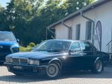 Jaguar Daimler XJ81 Double SIX Oldtimer 1A Zustand TÜV - Jaguar Daimler Gebrauchtwagen