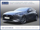 Mazda 3 SKYACTIV-G M-Hybrid Selection LEDER NAVI PDC - Mazda 3 Gebrauchtwagen in Dortmund