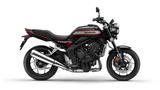 Honda CB1000F **Bol d'Or** MY 2026 +6 Jahre Garantie - HONDA BOL D OR