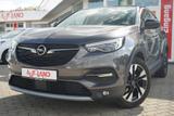 Opel Grandland 1.2 120 Jahre LED Navi Kamera Tempomat - Opel in Erfurt