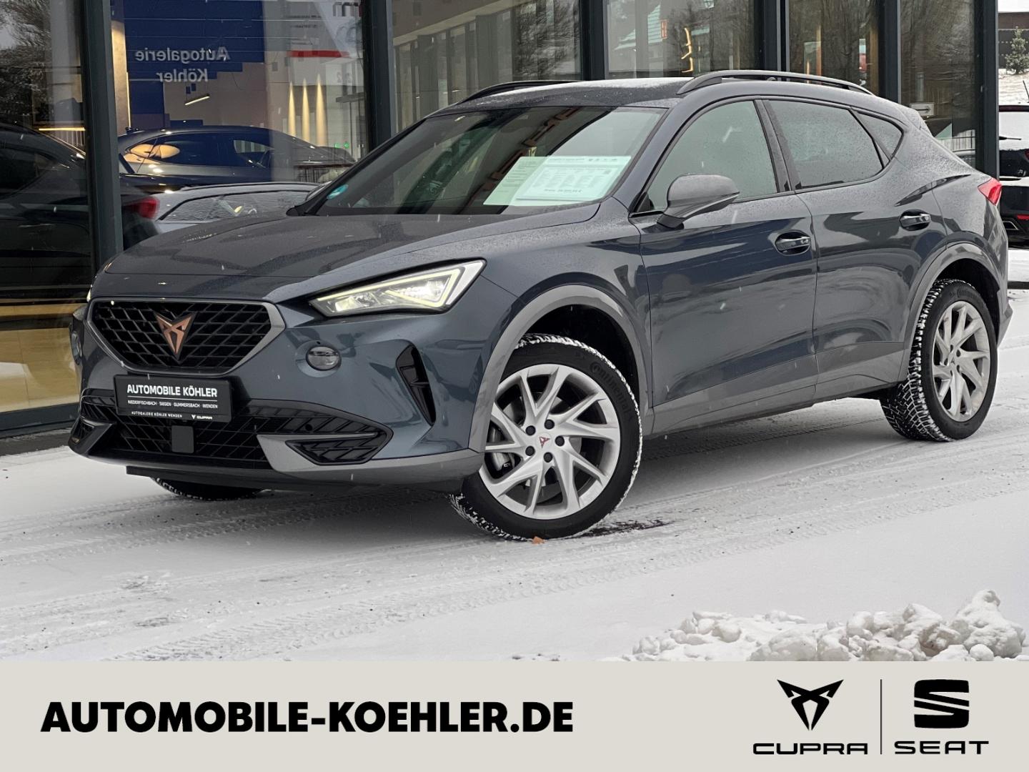 Cupra Formentor 1.5 TSI Beats, Full Link, Winter-Paket